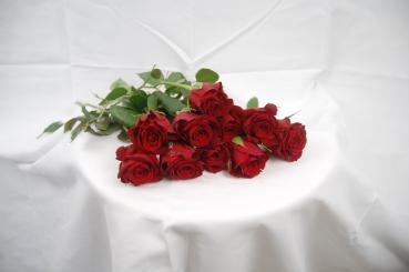 Vollsortiment - Rose - ROT